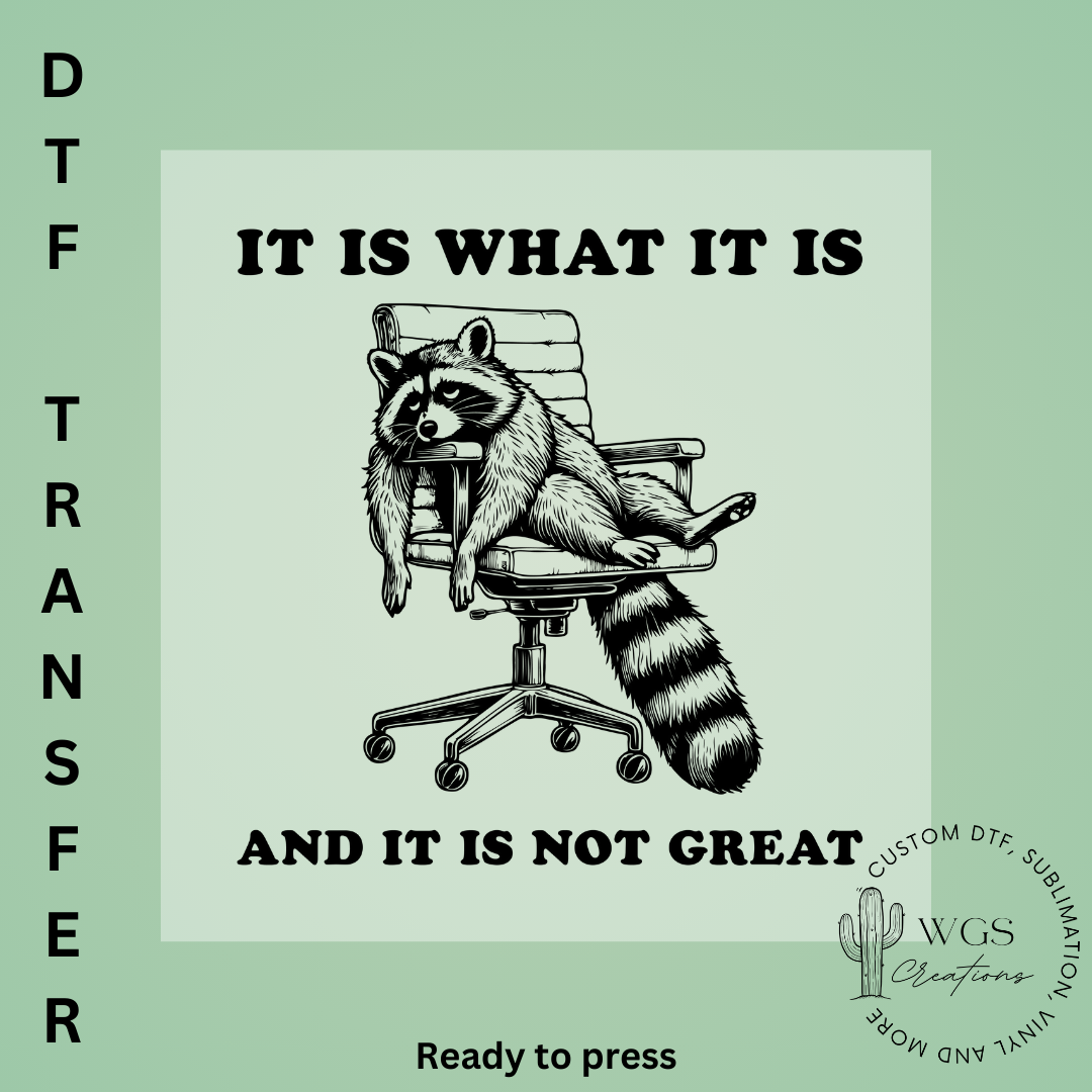 It is What it is DTF Transfer