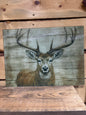 Deer Glass Cutting Board