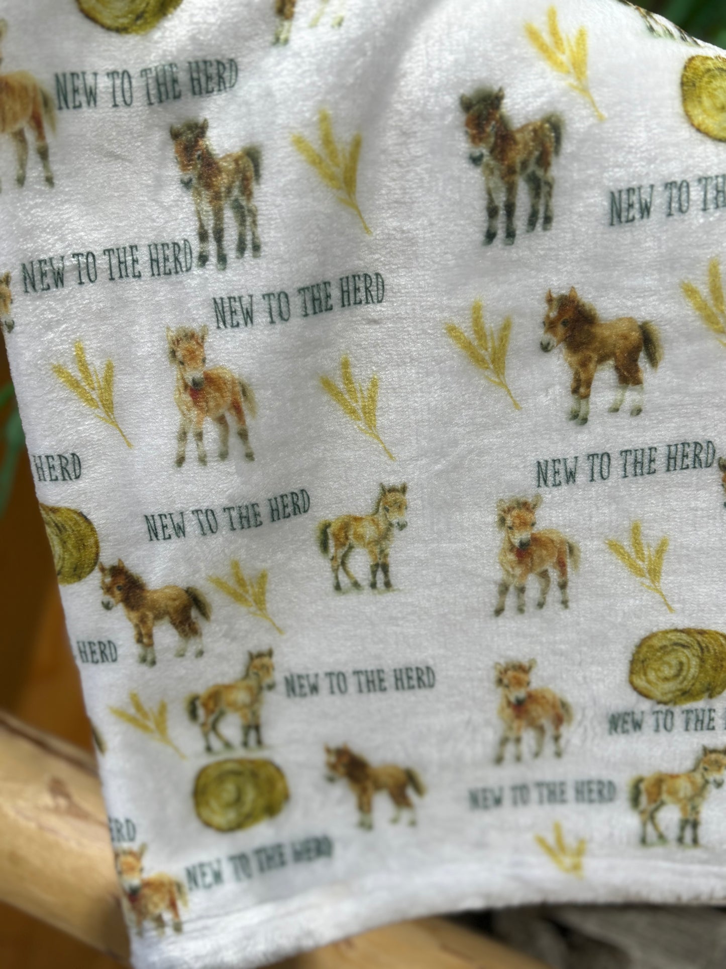 New to the Herd Horse Baby Blanket